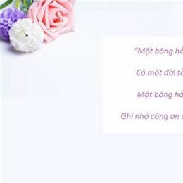 16 em xăm bông hồng lên da lời bài hát