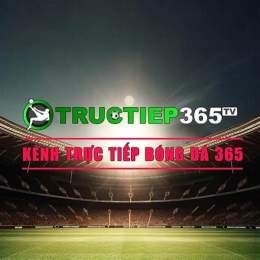 365 trực tiếp bóng đá