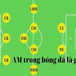 am là vị trí gì trong bóng đá