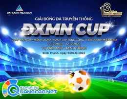 ảnh chụp màn hình giải bóng đá chuyên nghiệp anh
