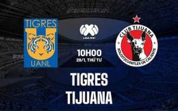 ảnh chụp màn hình kết quả bóng đá tigres uanl