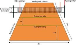 ảnh chụp màn hình kích thước sân bóng chuyền da nam
