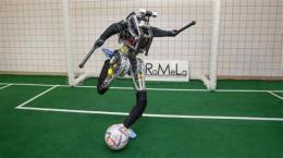 ảnh chụp màn hình robot đá bóng