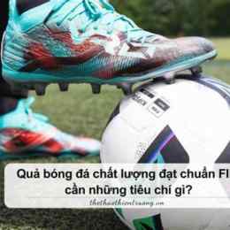 bong da chat luong cao