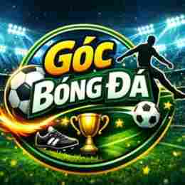bóng đá hagl