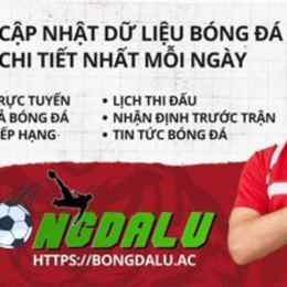 bóng đá lu rest