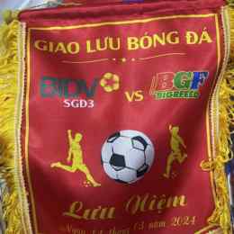 bóng đá lưu 8