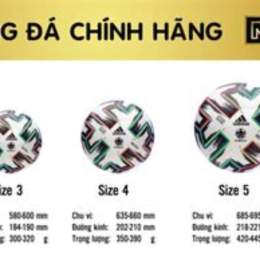 bóng đá tiêu chuẩn size bao nhiêu