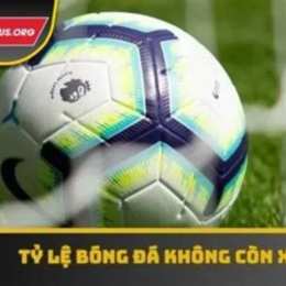 bóng đá tỷ lệ aff