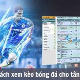 bóng đá tỷ lệ pháp
