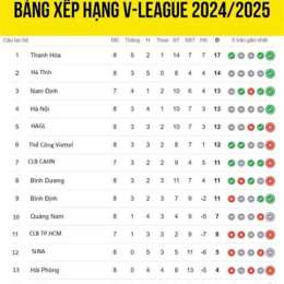 bóng đá v league 2025