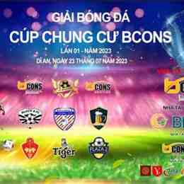 bóng đá wcup