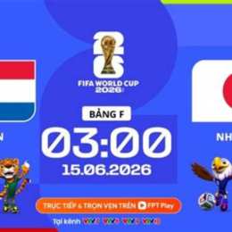 bóng đá world cup hà lan nhật bản