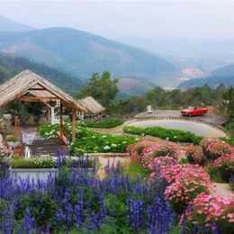 bông hoa đà lạt