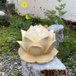 bông sen đá để mộ