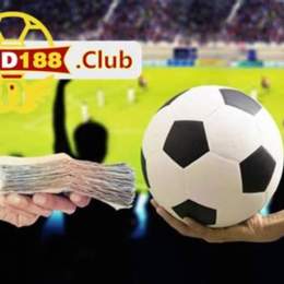 cá cược bóng đá bằng thẻ cào điện thoại