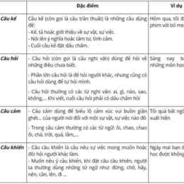các câu hỏi về bóng đá