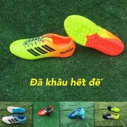 các loại giày đá bóng