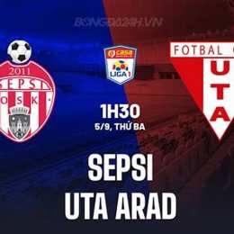 câu lạc bộ bóng đá uta arad – botoşani