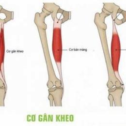 chấn thương gân kheo trong bóng đá