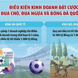 cho phép cá cược bóng đá