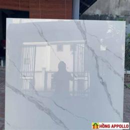 đá bóng kính vi tnh 120x120