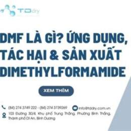 dmf là gì trong bóng đá