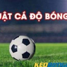 du doan bong da hom nay keo nha cai