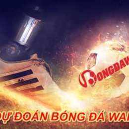 du doan bong da my