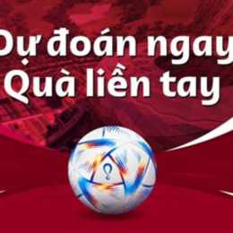 dự đoán bóng đá nữ