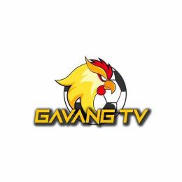 gà vàng tivi bóng đá