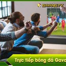 gà vàng tv trực tiếp bóng đá việt nam