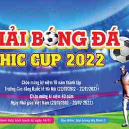 giải bóng đá việt