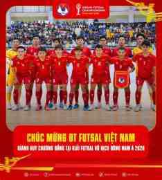 giao diện app bóng đá futsal việt nam-indo