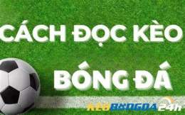 giao diện app bóng đá hôm nay thế giới