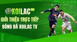 giao diện app bong da truc tuyen hom qua