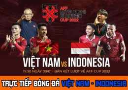 giao diện app bóng đá viêt nam indonesia