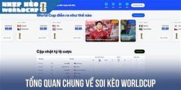 giao diện app bóng đá world cup 2026 kèo nhà cái