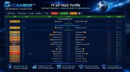 giao diện app cá heo tv trực tiếp bóng đá