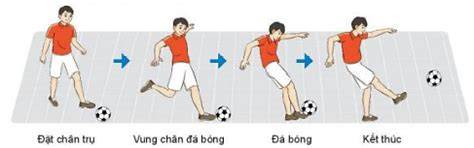 giao diện app các bài tập thể lực trong bóng đá