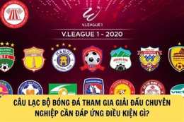 giao diện app chủ tịch câu lạc bộ bóng đá hải phòng