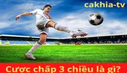 giao diện app cược chấp 3 cửa trong bóng đá là gì