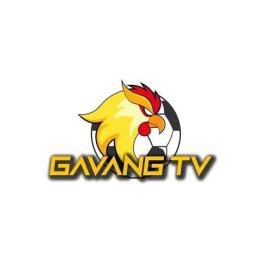 giao diện app gà vàng tv bóng đá hôm nay