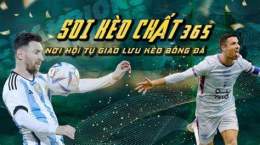 giao diện app kèo bóng đá 365