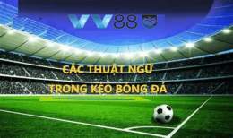 giao diện app kèo bóng đa 88