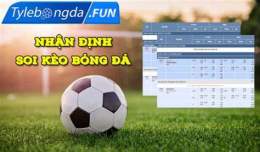giao diện app kèo tỷ lệ bóng đá việt nam