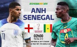 giao diện app kết quả bóng đá senegal world cup