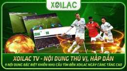giao diện app kết quả trực tiếp bóng đá xôi lạc