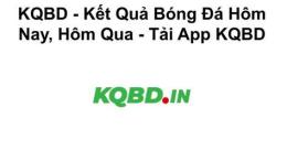 giao diện app kqbd liên đoàn bóng đá united two