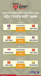 giao diện app lịch thi đấu bóng đá aff cup của việt nam